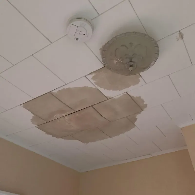 Ceiling Water Damage Repair in James City, NC