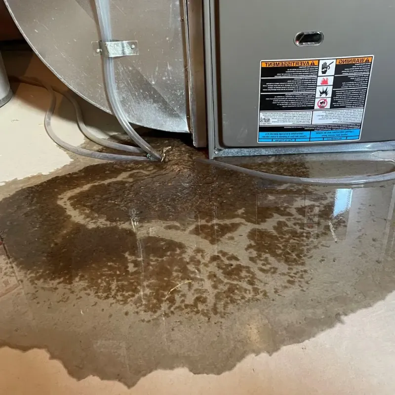 Pipe Burst and Leak Restoration in James City, NC